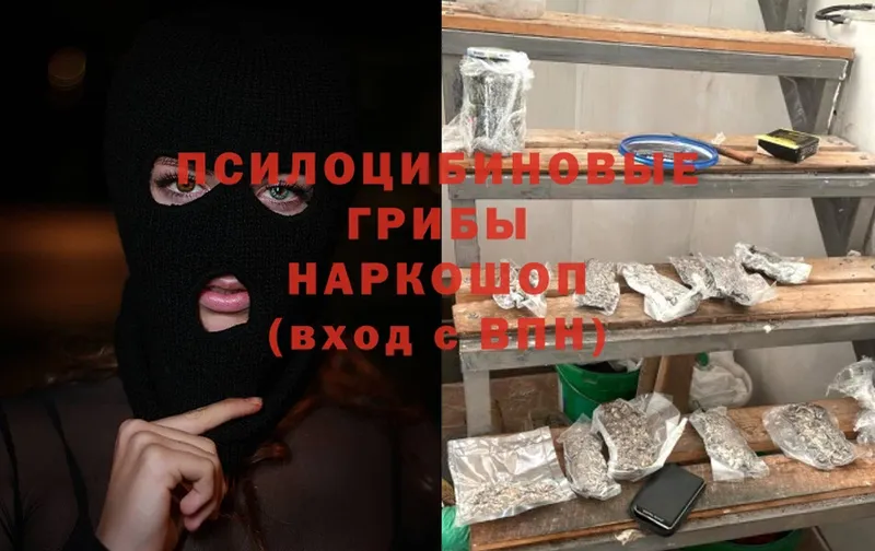 Псилоцибиновые грибы Psilocybine cubensis  Ворсма 